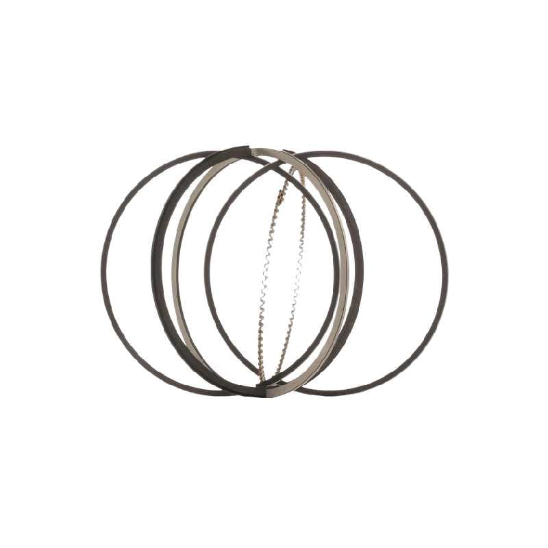 رینگ پیستون بنز S500 W221