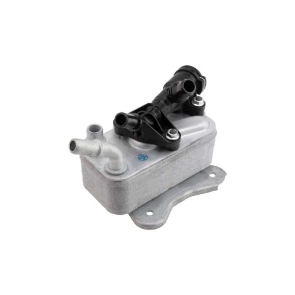 خنک کن روغن موتور بی ام و 523 اتاق f10