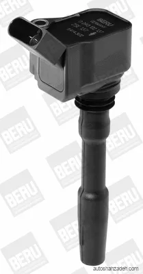 کوئل  بورگوارنر (BERU)-ZSE137