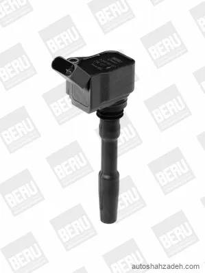 کوئل  بورگوارنر (BERU)-ZSE137