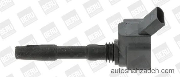کوئل  بورگوارنر (BERU)-ZSE137