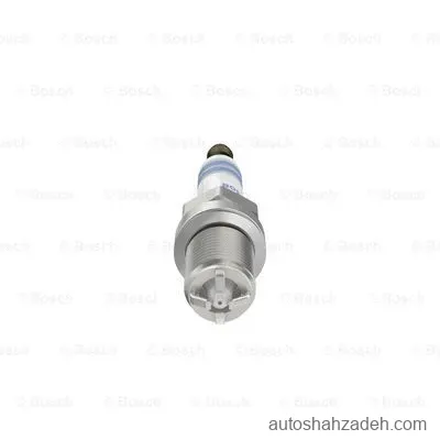 شمع  بوش-0242236562