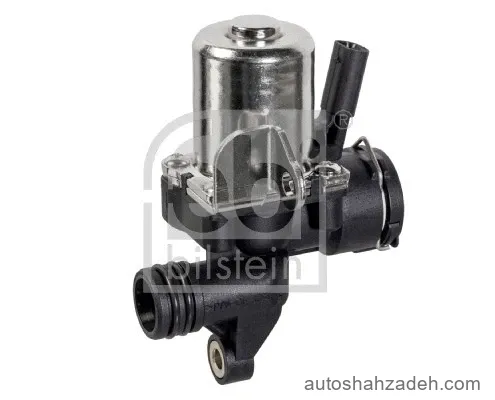 شیر بخاری  فبی بیلشتاین-109476