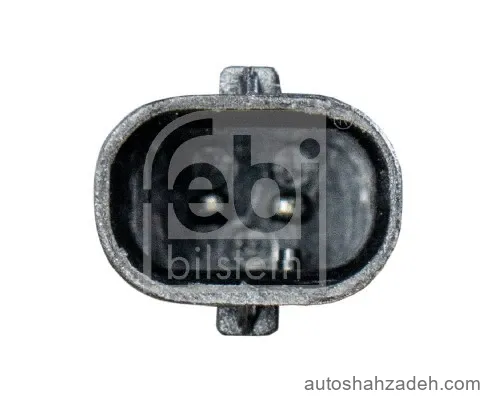 شیر بخاری  فبی بیلشتاین-109476
