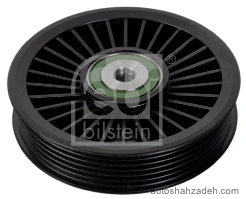 پولی هرزگرد شیاردار فبی بیلشتاین-14375