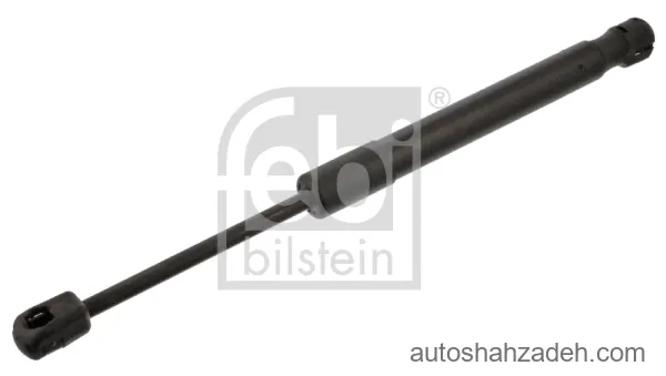 جک کاپوت  فبی بیلشتاین-44004