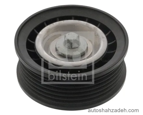 پولی هرزگرد شیاردار فبی بیلشتاین-47333