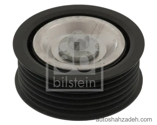 پولی هرزگرد شیاردار فبی بیلشتاین-49372