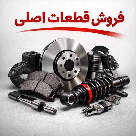 category/بدنه